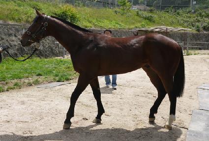 �����̵�Ž� ����