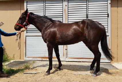 ũ����Ż���� ����