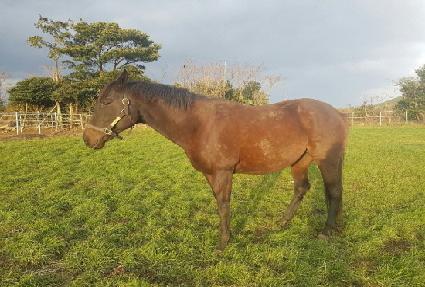 �����ӵ� ����