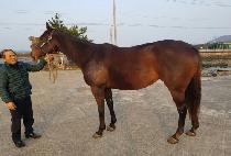 MAKE IT ANYWHERE picture