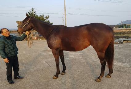 ����ũ�վִϿ��� ����