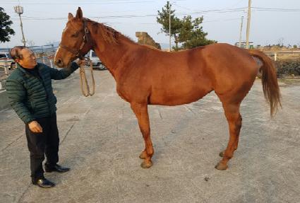 ���嵩 ����