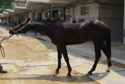 ȣ����� ����