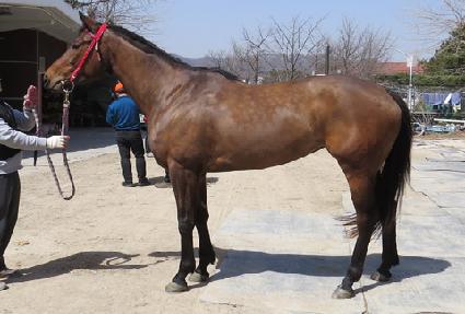 �������Ĺ ����