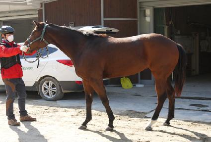 õ�� ����