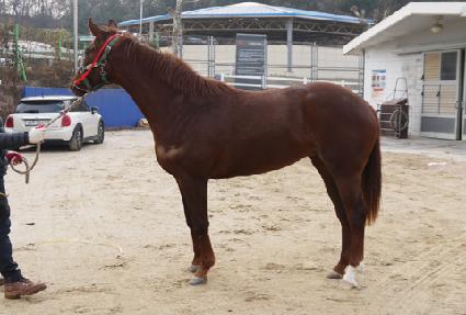 ����ֶ� ����