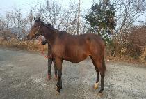 ������Ʈ (ELLE POINT) ����