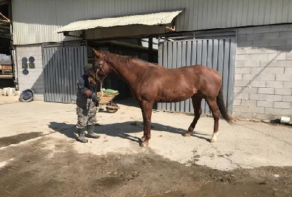 ��Ŀ������ ����