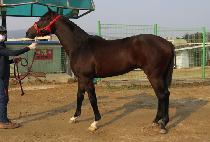 �뱺�Ŀ� (DAEGUN POWER) ����