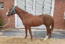 ��������ũ (HAPPY CAKE) ����