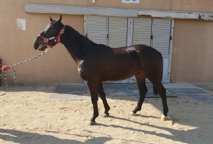 ���ī�� ����