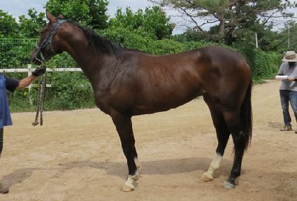 ���Ÿ�Ÿ�� ����