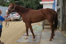 �йи�ȣ�� (FAMILY HOPE) ����