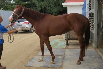 �йи�ȣ�� ����