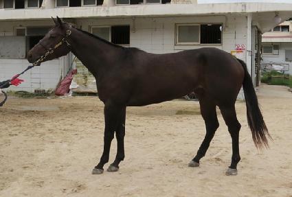 ��ġ���̾Ƶ� ����