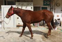 ������Ÿ�� (M.J.TOWN) ����