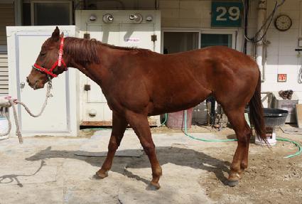 ������Ÿ�� ����