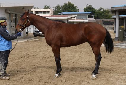 ���� ����