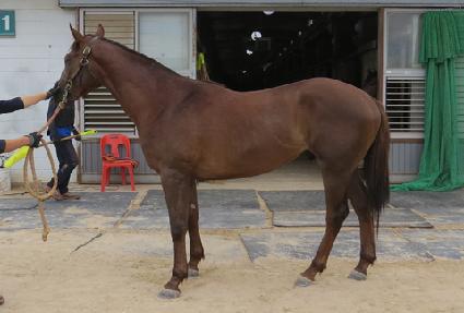 ���Ÿ��Ŀ� ����