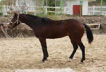 �������� (MAEUM NURI) ����