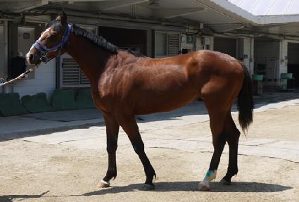 �������� ����