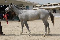 �޵�ġ�Ŀ� (MEDICI POWER) ����