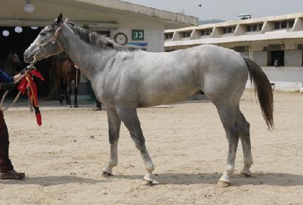 �޵�ġ�Ŀ� ����