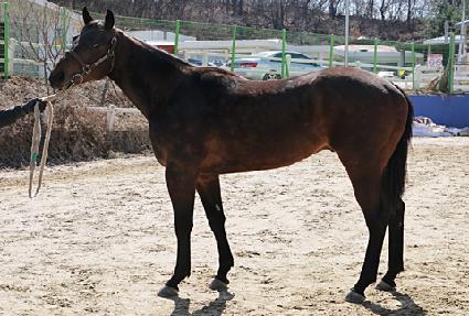 ���ǵ����� ����