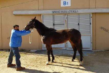 ����� ����