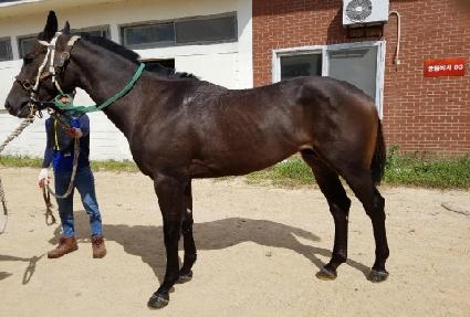 �ο�Ʈ�� ����