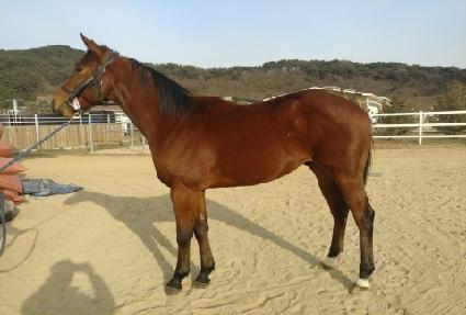 �����ǽ� ����