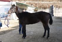 �۽�Ʈť�ǵ� (FIRST CUPID) ����