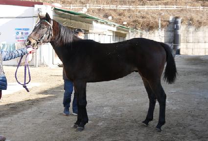 �۽�Ʈť�ǵ� ����