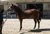 ����Ʈ���� (BEST RULES) ����