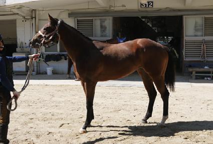 ����Ʈ���� ����