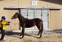 ���ǵ忩�� (SPEED YEOSIN) ����