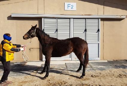 ���ǵ忩�� ����