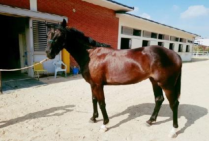 �ƽ��� ����