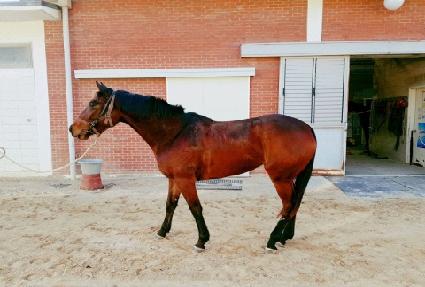 �̽����� ����