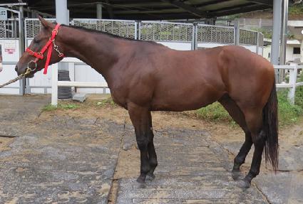 �������� ����