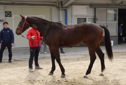 �������� ����