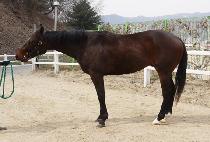 MOONHAK CHIEF picture