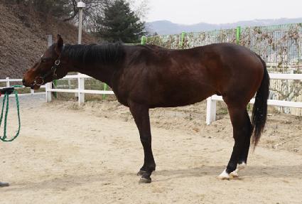 ����ġ�� ����