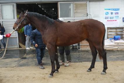 ��õè�� ����