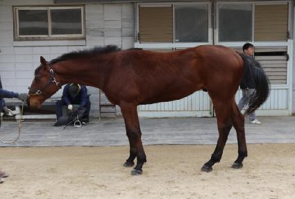 �������� ����