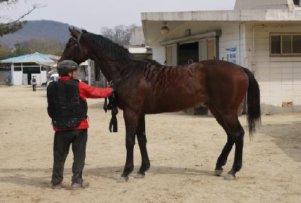 ������ ����