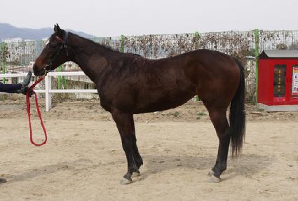 ��������Ʈ ����