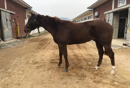 ������ ����