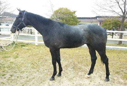 Ķ�����ϾƸ��� ����