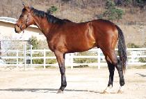 ��������ȣ�� (I��M YOUR HOPE) ����